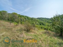 Terreno agricolo