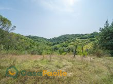 Terreno agricolo