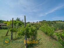 Terreno agricolo