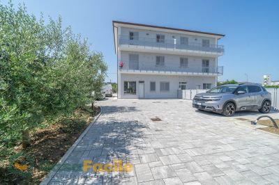 Viale d'ingresso