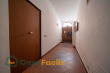 Ingresso