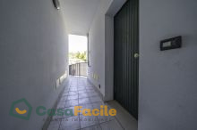 Ingresso