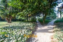 Parco