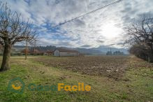 Terreno agricolo