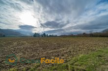 Terreno agricolo