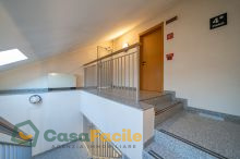Ingresso